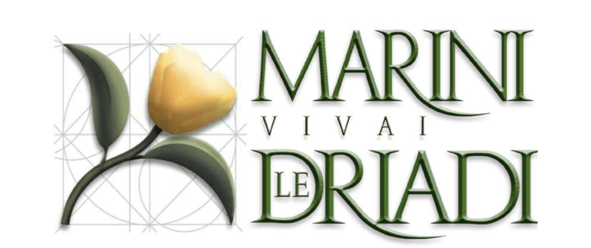 Marini Vivai Le Driadi_NBB_sostenitore